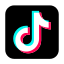 TikTok Advertising Management 